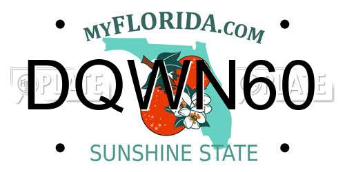 DQWN60 Florida License Plate
