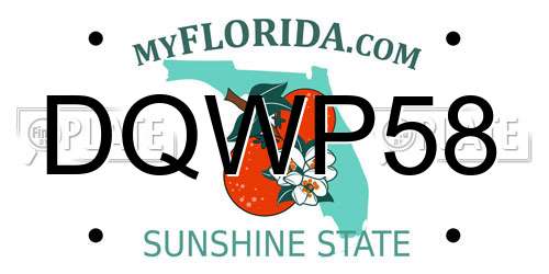 DQWP58 Florida License Plate