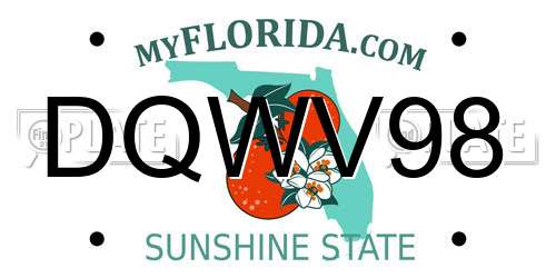 DQWV98 Florida License Plate