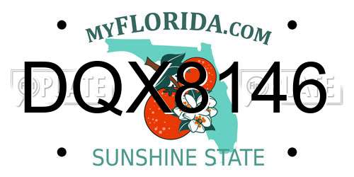 DQX8146 Florida License Plate