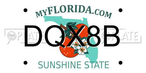 DQX8B Florida License Plate