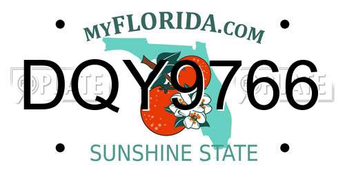 DQY9766 Florida License Plate