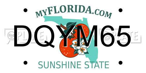 DQYM65 Florida License Plate