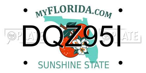 DQZ95I Florida License Plate
