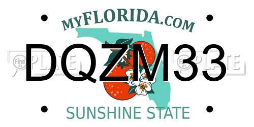 DQZM33 Florida License Plate