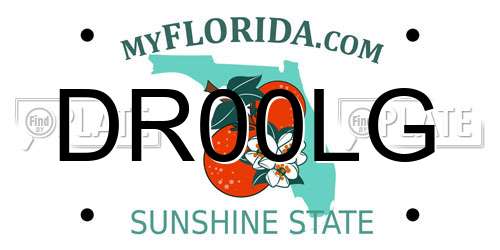DR00LG Florida License Plate