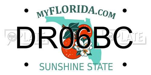 DR06BC Florida License Plate