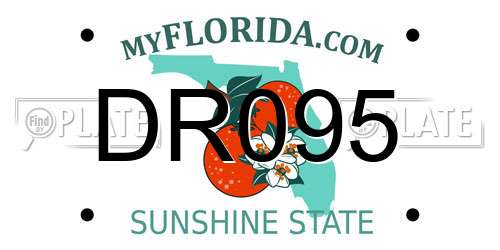 DR095 Florida License Plate