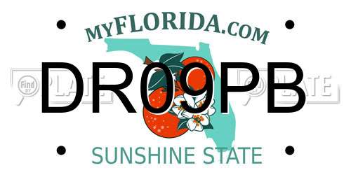 DR09PB Florida License Plate