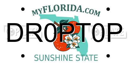 DR0PT0P Florida License Plate