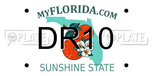 DR10 Florida License Plate