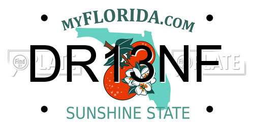 DR13NF Florida License Plate