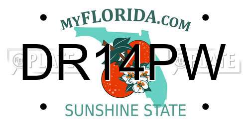 DR14PW Florida License Plate