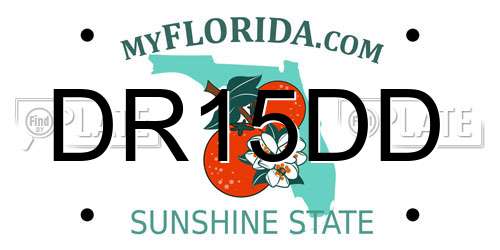 DR15DD Florida License Plate
