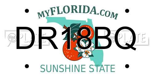 DR18BQ Florida License Plate