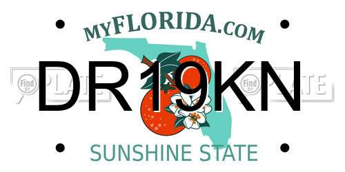 DR19KN Florida License Plate
