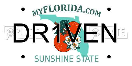 DR1VEN Florida License Plate