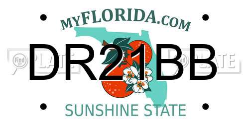 DR21BB Florida License Plate