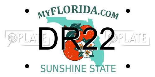 DR22 Florida License Plate