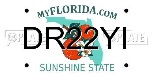 DR22YI Florida License Plate