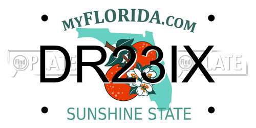 DR23IX Florida License Plate
