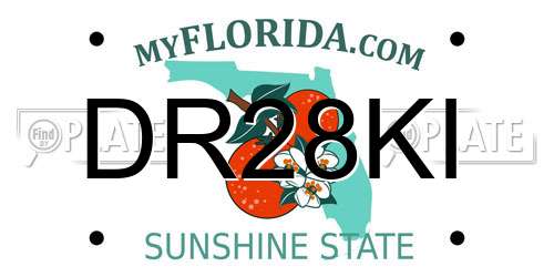 DR28KI Florida License Plate