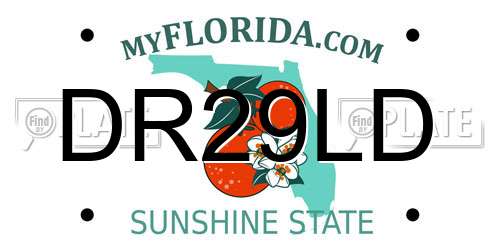 DR29LD Florida License Plate