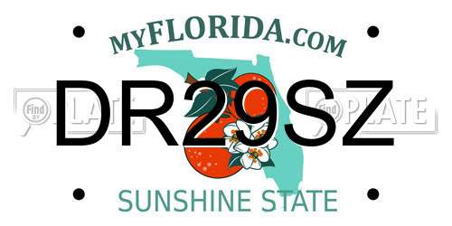 DR29SZ Florida License Plate