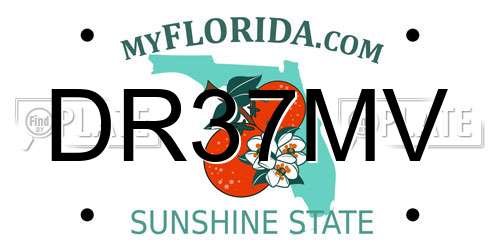 DR37MV Florida License Plate