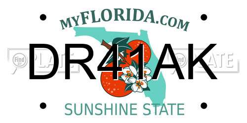 DR41AK Florida License Plate