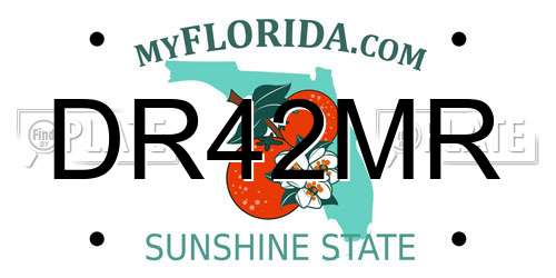 DR42MR Florida License Plate