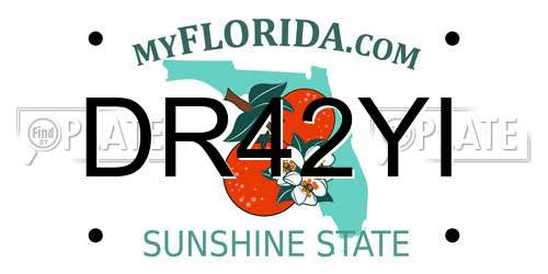 DR42YI Florida License Plate