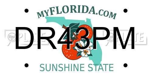 DR43PM Florida License Plate