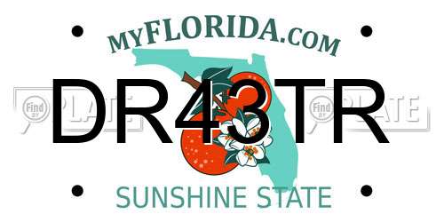 DR43TR Florida License Plate