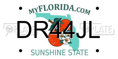 DR44JL Florida License Plate