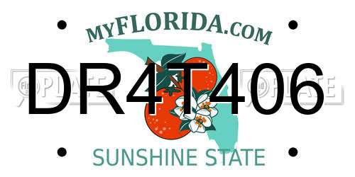 DR4T406 Florida License Plate