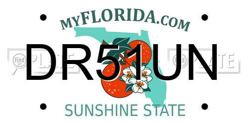 DR51UN Florida License Plate