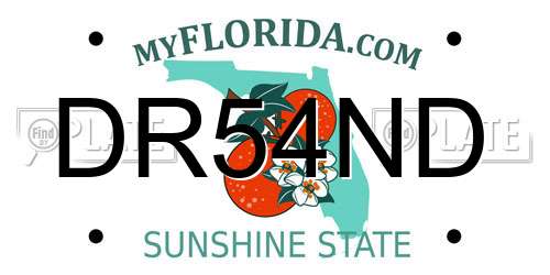 DR54ND Florida License Plate