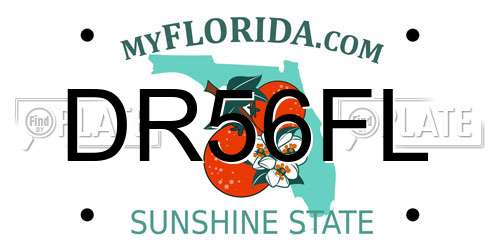 DR56FL Florida License Plate