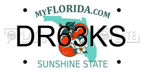 DR63KS Florida License Plate