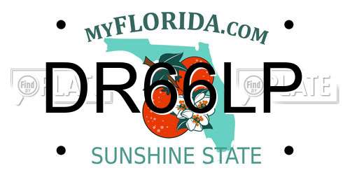 DR66LP Florida License Plate