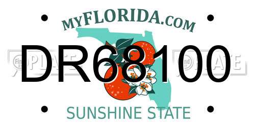 DR68100 Florida License Plate