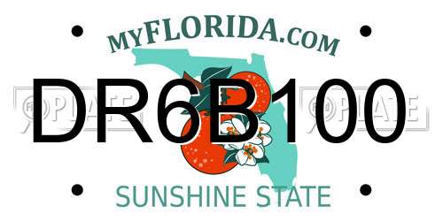 DR6B100 Florida License Plate