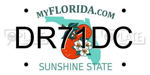 DR71DC Florida License Plate