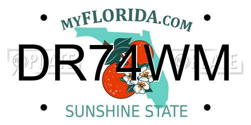 DR74WM Florida License Plate