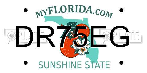 DR75EG Florida License Plate