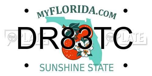 DR83TC Florida License Plate