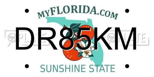 DR85KM Florida License Plate
