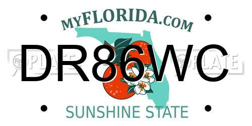 DR86WC Florida License Plate