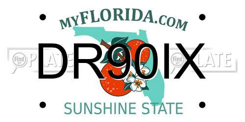 DR90IX Florida License Plate